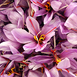 Saffron